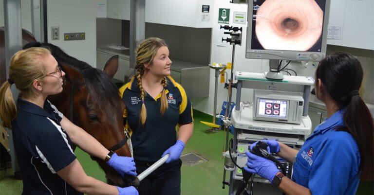 Horses Get Asthma Too!