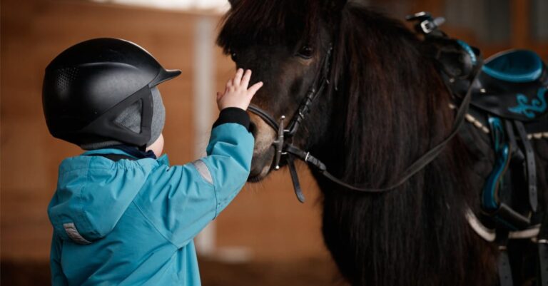 Mounting and Dismounting Causes Stress in Therapy Horses