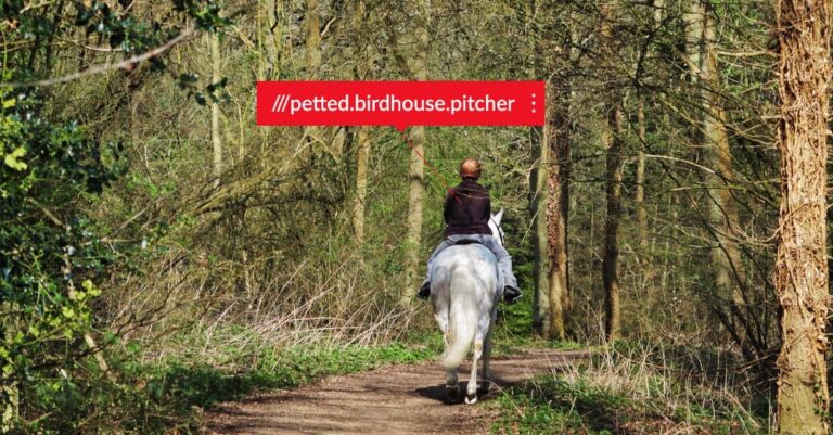 what3words App Improves Horse Riding Safety