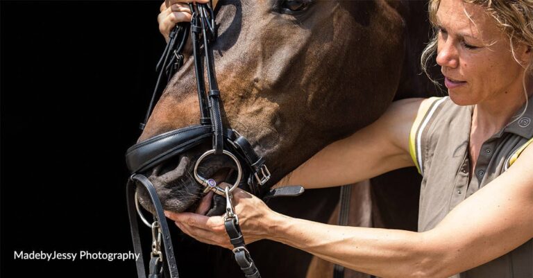 A Bit More Choice: The Rise of Bit Fit Consulting