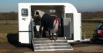 Researchers say horses travel better in wider bays and probably facing backwards. Photo courtesy EquiTrek Australia