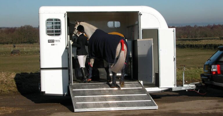 Protect Your Horse During Travel