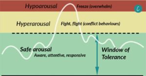 Another way to look at the horse's emotions in the window of tolerance is to think of them as 'ripples'