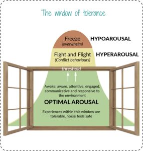 The window of tolerance is a way to explain the horse's emotional comfort zone