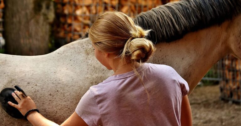International study on the effect of COVID-19 on horse owners