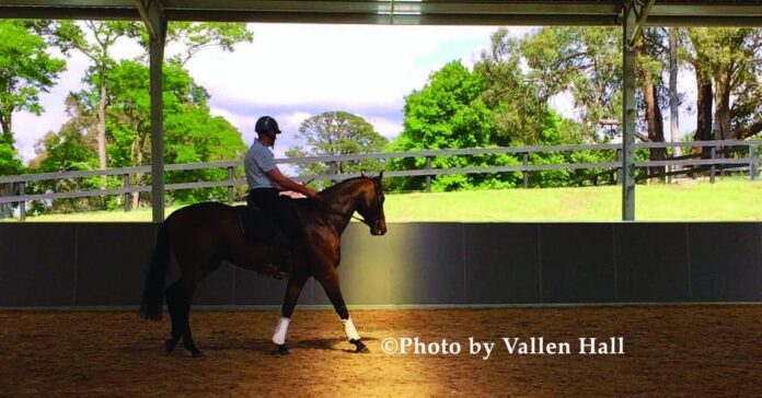 Photo by Vallen Hall Equus Nexus giving Thoroughbreds the best chance for life