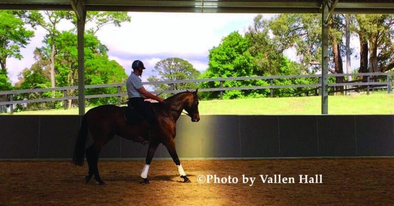 Equus Nexus: Giving Thoroughbreds the Best Chance – For Life