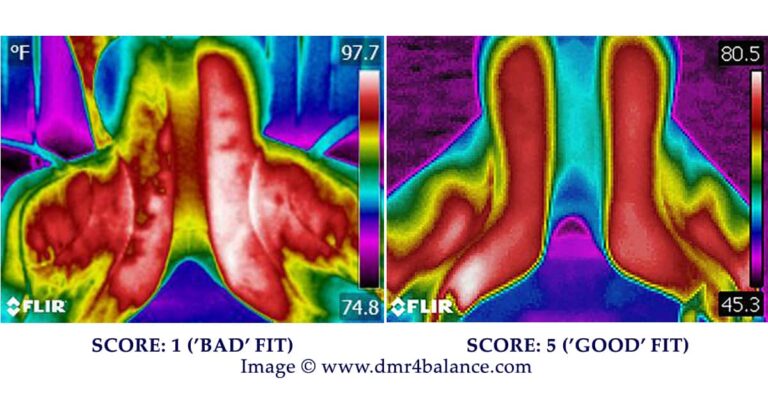 Thermography a Promising Tool for Saddle Fitting