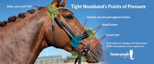 Tight nosebands points of pressure