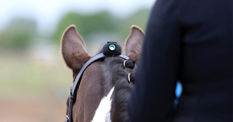 On-board Technology Helps Avoid Hyperflexion