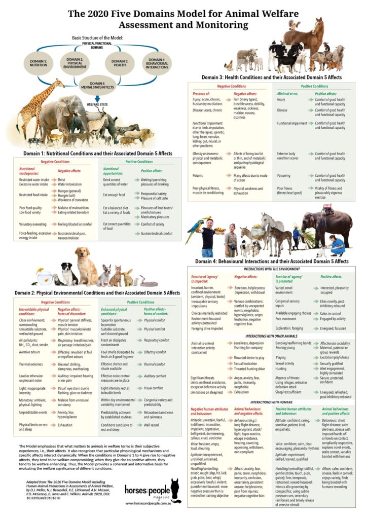 2020 Five Domains Model for Welfare Assessment