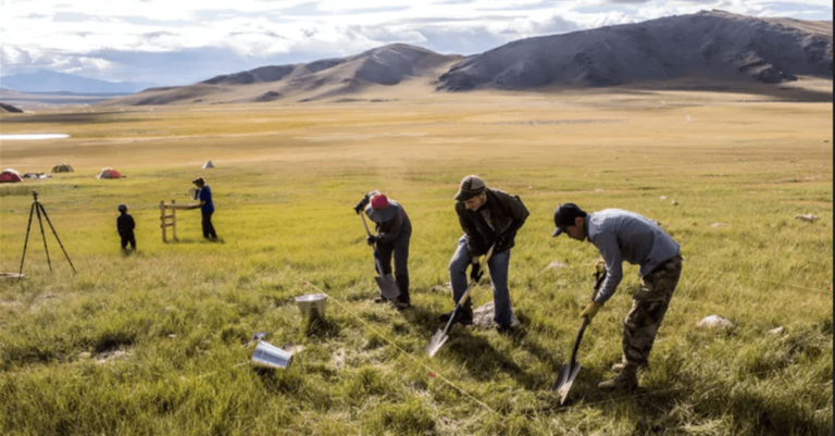 Humans domesticated horses – new tech could help archaeologists figure out where and when