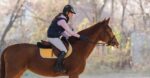 horse owners know their horses best and can help advance horse welfare