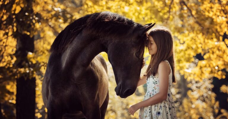 Research into the Human-Horse Bond
