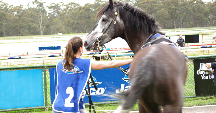 Iris Bergmann horseracing social licence Naturalness and the Legitimacy of Thoroughbred Racing: A Photo-Elicitation Study with Industry and Animal Advocacy Informants