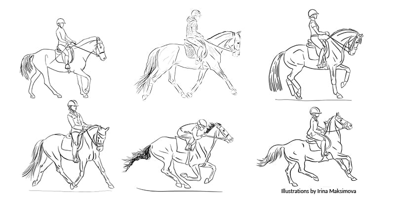 The way the rider holds their hands and gives the rein aids will affect the action of the bit.