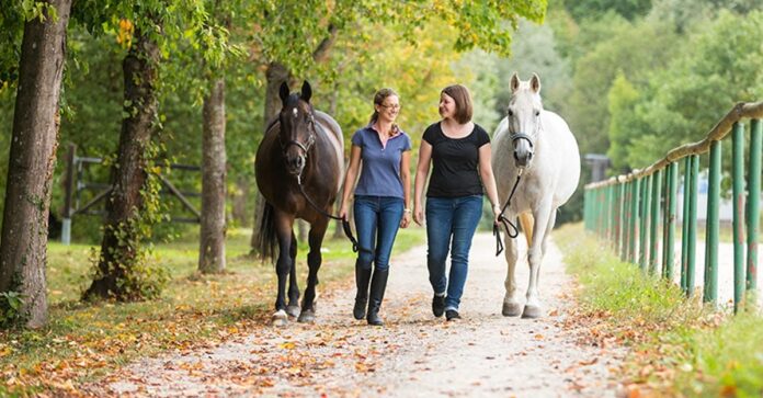 friendship and community two women lead their horses up the lane