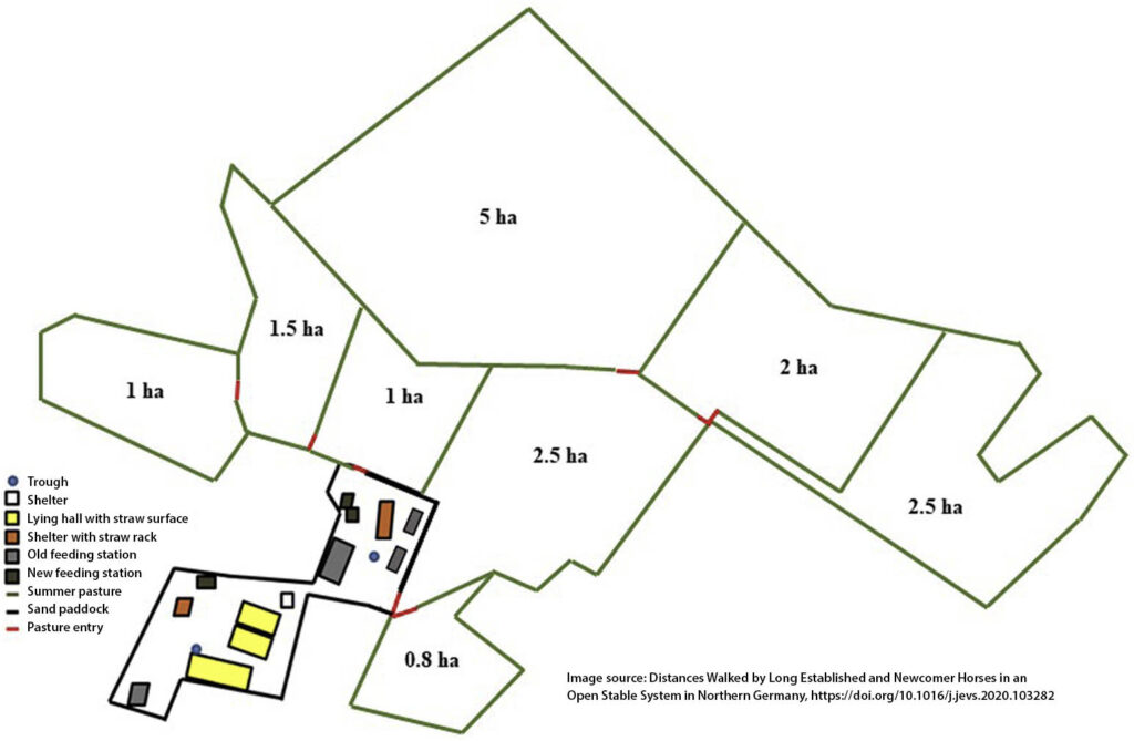 Active Stable layout encourages movement