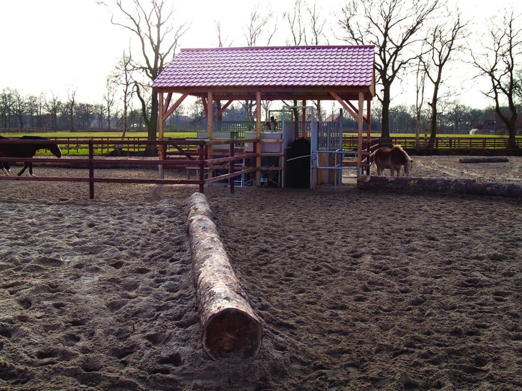 The design and layout of active stables really does encourage movement. Image courtesy HIT Active Stable.
