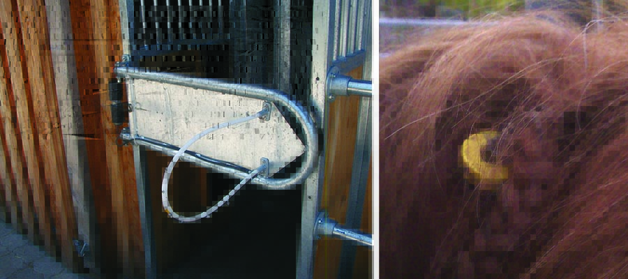 The transponder is braided into the main and operates the door to the feeding shed