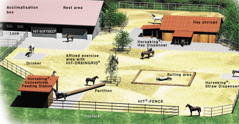 Active Stables Really do Encourage Movement
