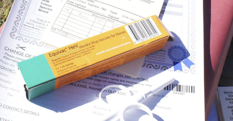 Hendra Vaccine Class Action Commences as New Strain Identified