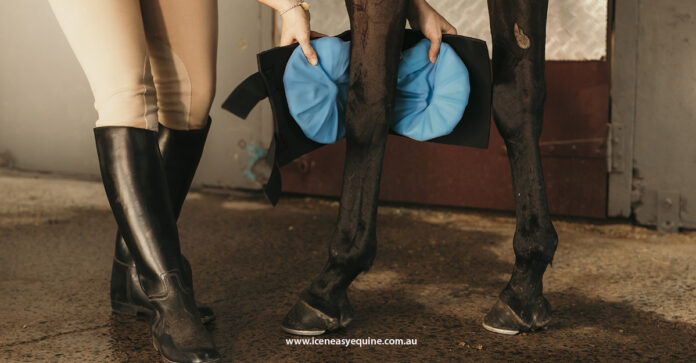 Ice N Easy Equine Double Ice N Easy Equine, providing cold therapy solutions specifically for the equine industry.