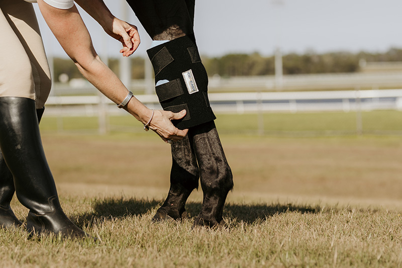 Ice N Easy Equine, providing cold therapy solutions specifically for the equine industry.
