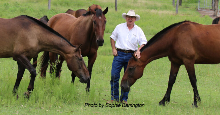 Life-Saving Standardbreds