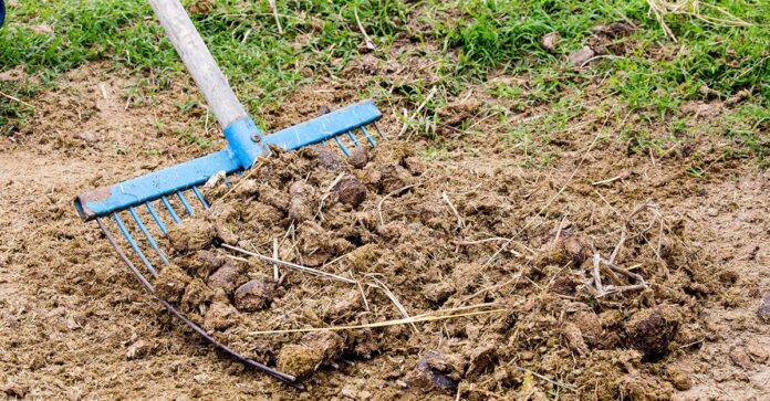 horse manure Composting horse manure