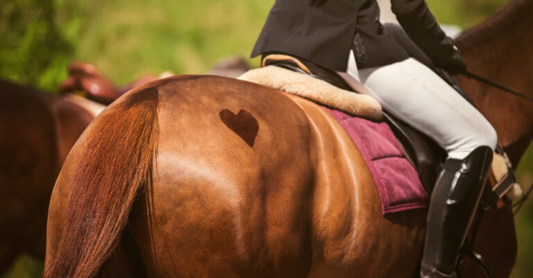 Roadmap for the Ethical Use of Horses in Sport