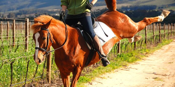 Bucking horse Why does my horse buck?