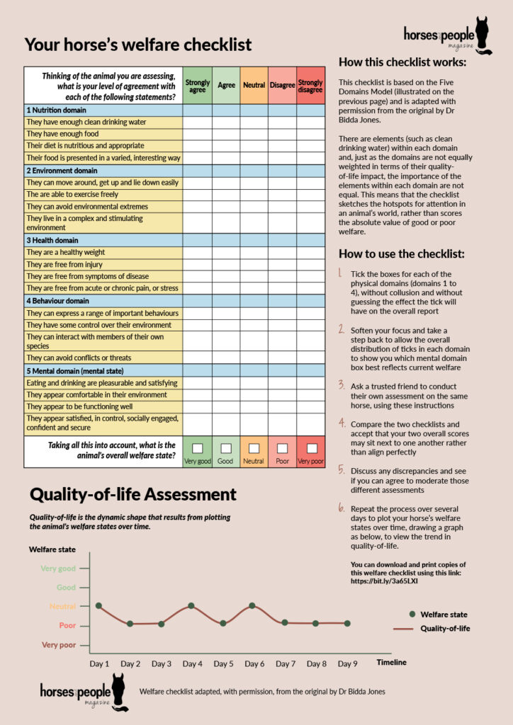 A welfare checklist you can use with horses. 