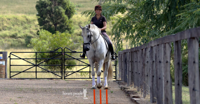 Shoulder In Horses and People The shoulder-in is more than just dressage gymnastics