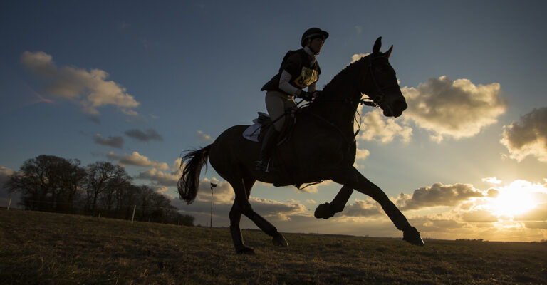 First-ever Equine Speedometer and Tracking System for Horses