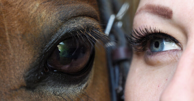 Anticipation Builds for the 2021 Equitation Science Conference
