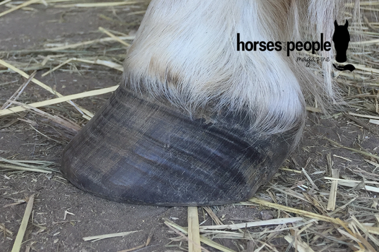 Learn to Recognise the Early Signs of Laminitis