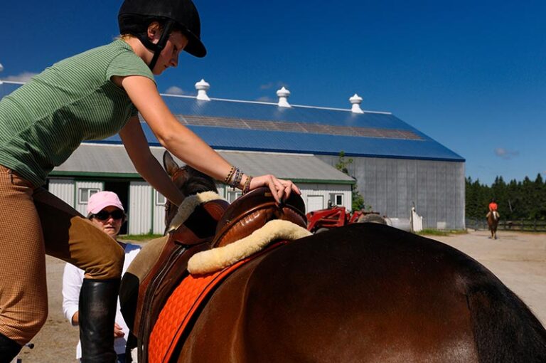 Are You Brave Enough to be Kind to Your Horse, Yourself and Others?