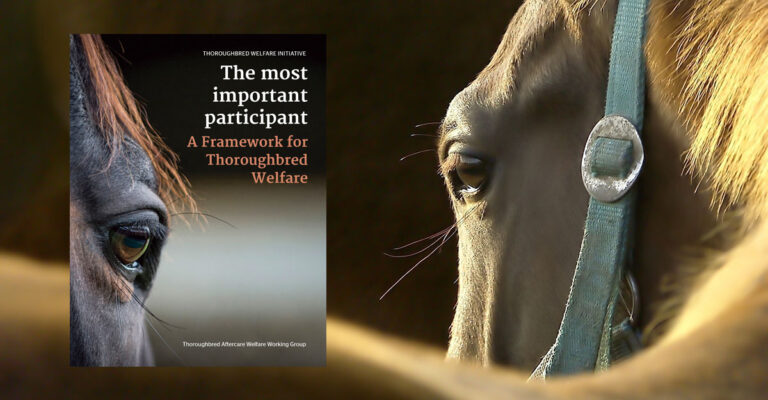 Report Recommends Racehorse Welfare Overhaul