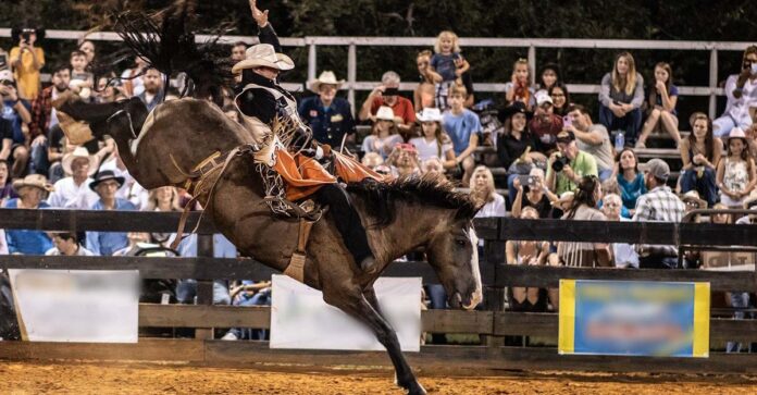 rodeo-bronc