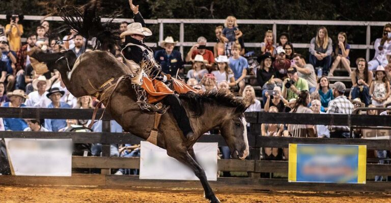 Balking at Bucking
