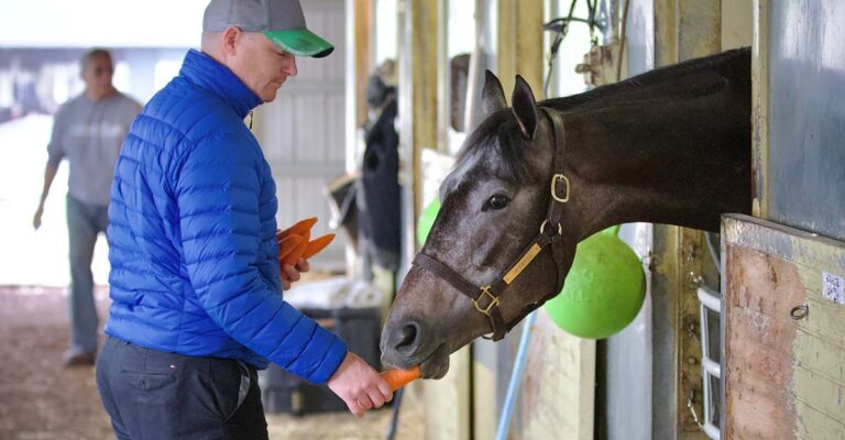 Welfare Standards for the Racehorse Sector