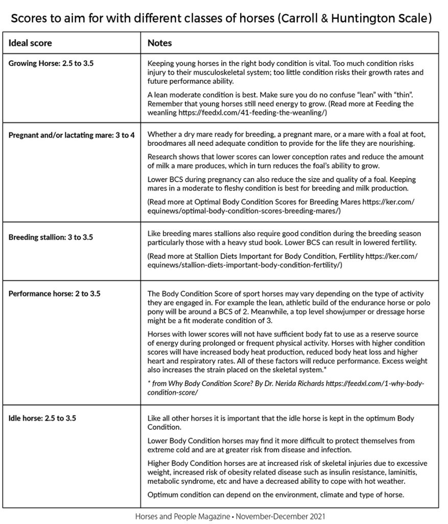 A table showing the ideal condition scores for different classes of horses